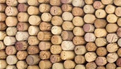 Cork of vine