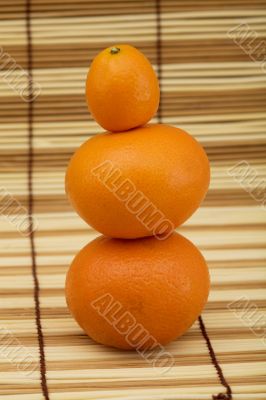 Two mandarin and kumquat