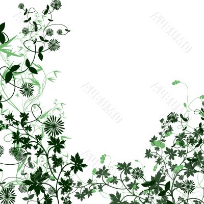 Green frame for congratulations