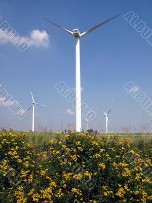 Wind Farm