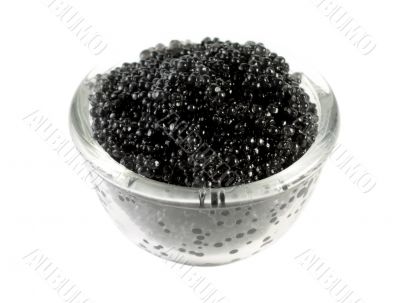 soft black caviar in the tableware