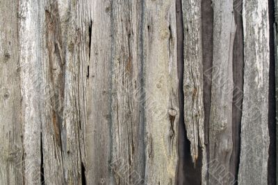 Background of wood