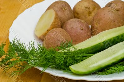 Potatoes, salt cucumber and dill still-life