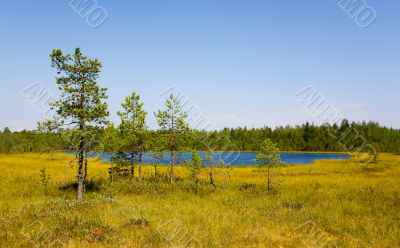 Lake and bog