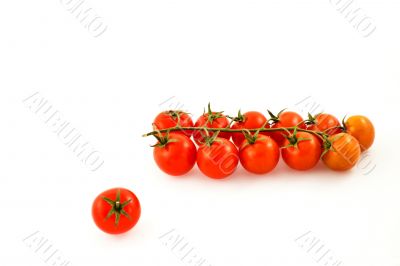 bunch of tomatoes