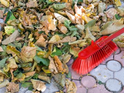 Cleaning of fallen autumn leaves