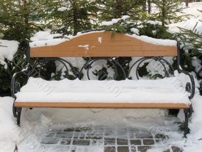 bench in a park