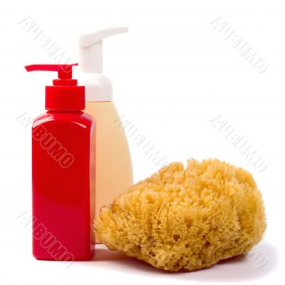 sponge and cosmetics