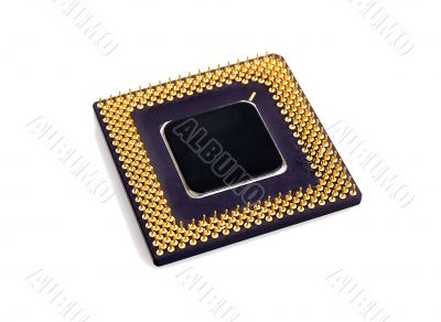 processor isolated on white