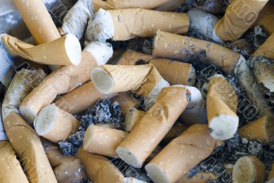 Cigarette butts Cigarette butts