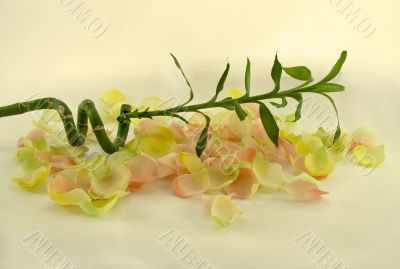Bamboo with aromatic rose leave over yellow background