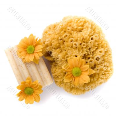 natural sponge, soap and flowers