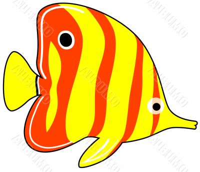 Exotic Fish Exotic Fish