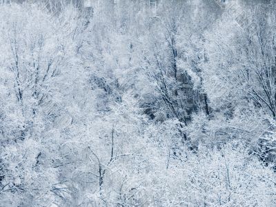 winter landscape winter landscape