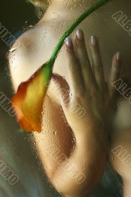 Beautiful body Beautiful body