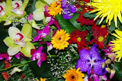 bouquet from varicoloured colors filling all shot