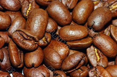 coffee beans make lake background