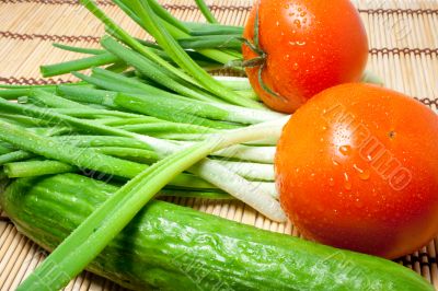 Fresh vegetable Fresh vegetable