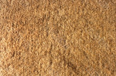 Woolen Woolen