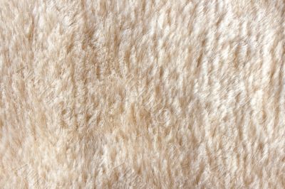 Woolen Woolen