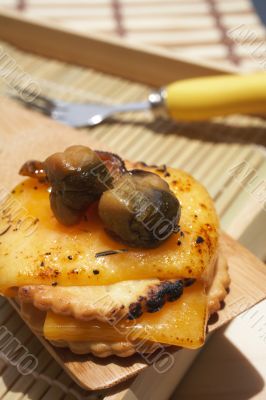 Mussel starter Mussel starter