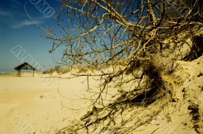 sandy beach in sunny day and deep blue sky