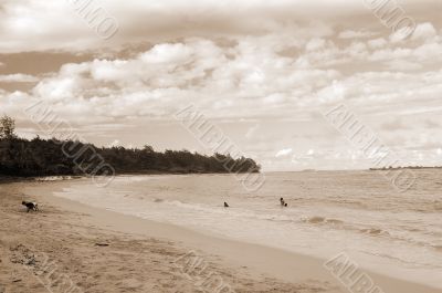 Laie Beach Honolulu Hawaii sepia