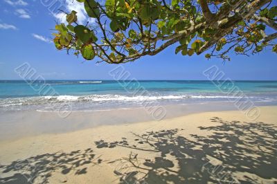 Beach Scene