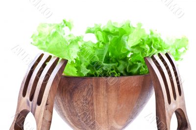 lettuce leaves in a salad bowl