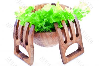 lettuce leaves in a salad bowl