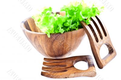lettuce leaves in a salad bowl
