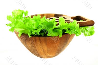 lettuce leaves in a salad bowl