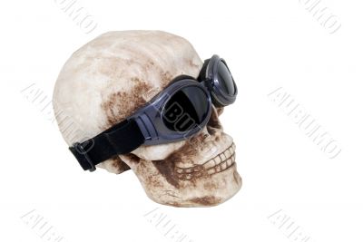 Skull and goggles