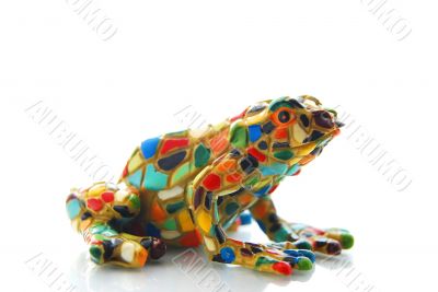 mosaic frog