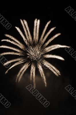 Fireworks lighting in floral pattern at night sepia