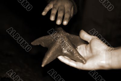 Woman Holding Starfish sepia