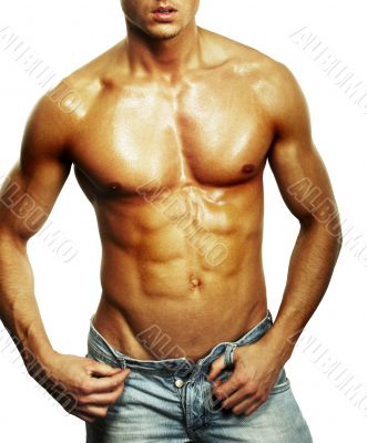 Muscular male torso