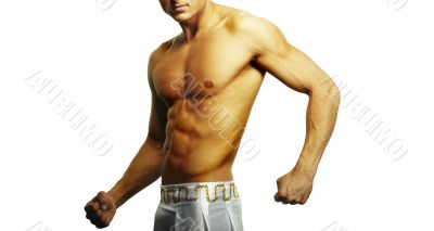 Muscular male torso