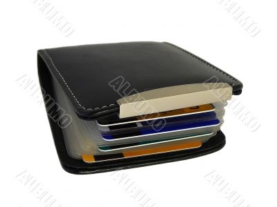 Credit Card Case With Card