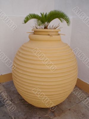 Big vase with palm Big vase with palm