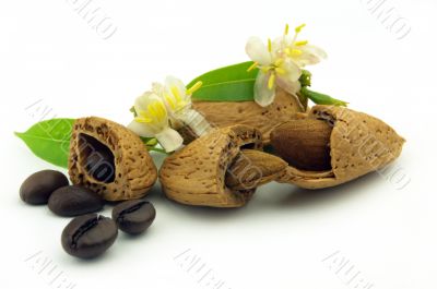 Coffee beans and almond with flowers