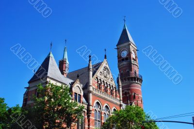 Bushes on building roof