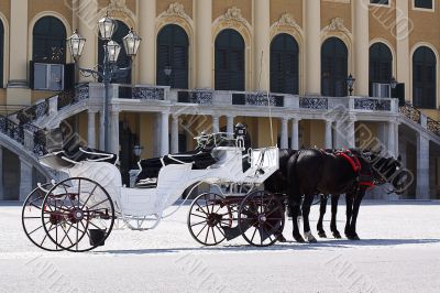 Coach in front of castle schoenbrunn, Vienna
