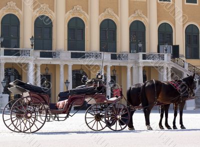 Coach in front of castle schoenbrunn, Vienna