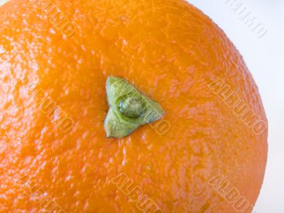 Tasty orange