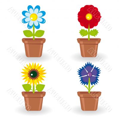 Set of four flowers in flowerpots