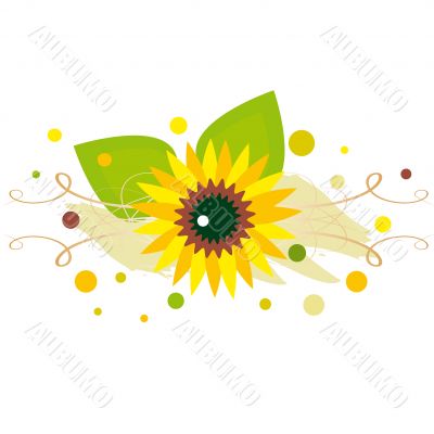  sunflower on spotted background