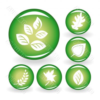 Set of web icons with leaves