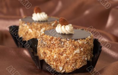 Miniature chocolate cakes