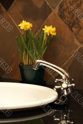 Beautiful sink in a bathroom